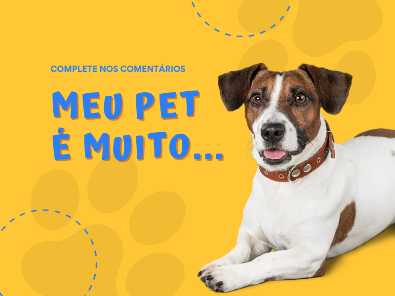 Sua Empresa